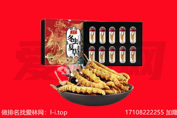 吉林市昌邑回收虫草.jpg